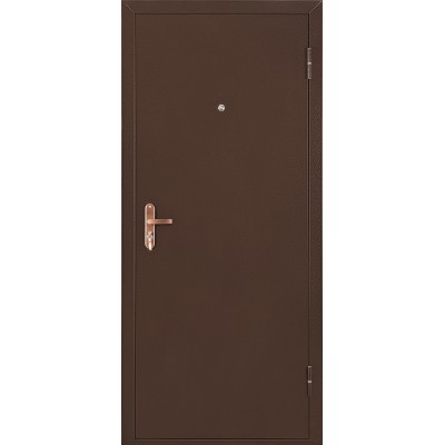  Металлическая дверь ПРОФИ BMD